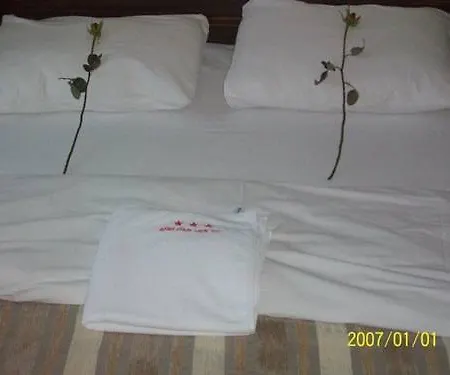 Hotel Saray -agora-