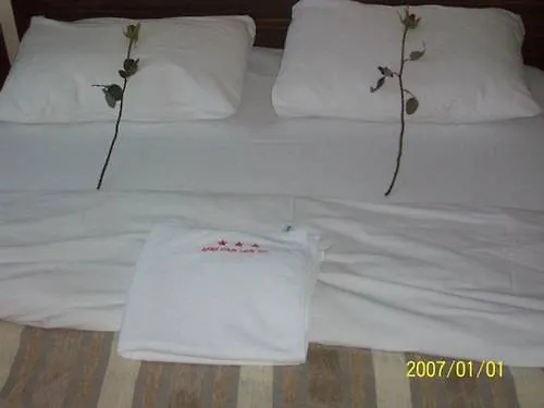 酒店 Saray -agora-